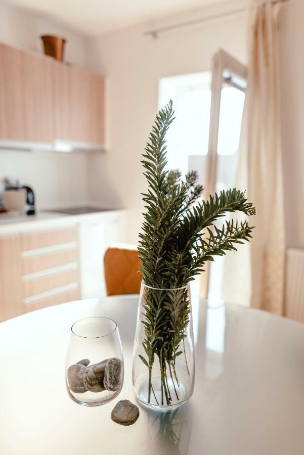 Luxury Apartments Zelny Trh 4 Brno Ngoại thất bức ảnh