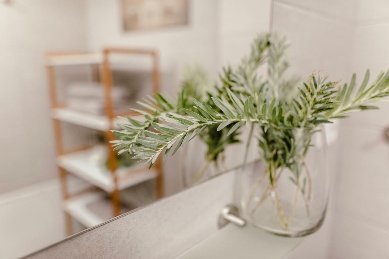 Luxury Apartments Zelny Trh 4 Brno Ngoại thất bức ảnh